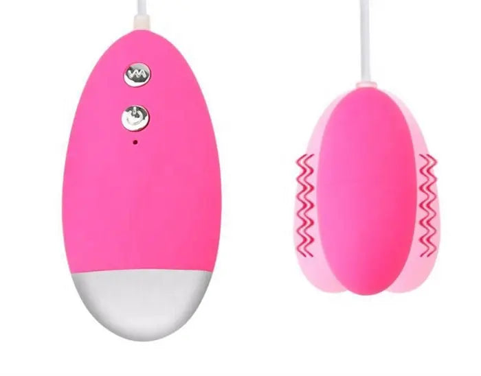 Popular 20 Frequency Double Vibrating Egg Sex Toys for Women 10 Speed Panty Vibrator for Clitoris G Spot Stimulating