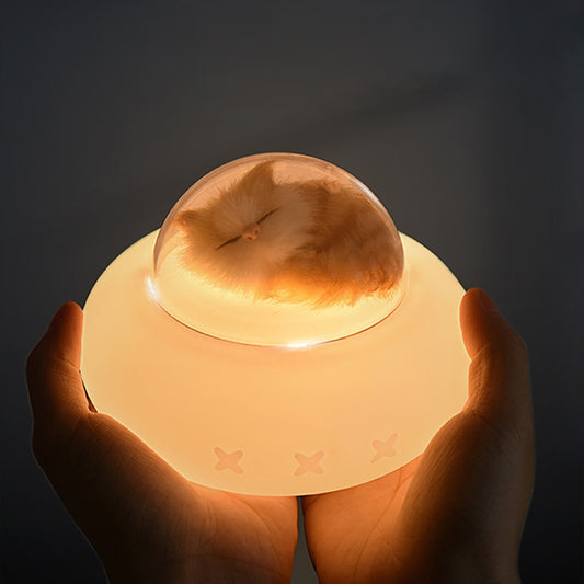 Pet Spaceship Silicone Light USB Small Night Light Cute Cartoon Charging Cute Pet Cat Bedside Led Lamp Cat