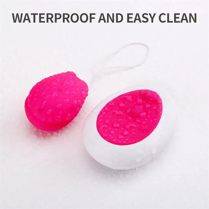 USB Controlled 10-Frequency Egg Vibrator G-Spot & Clitoris Stimulating Sex Toys for Female Masturbation