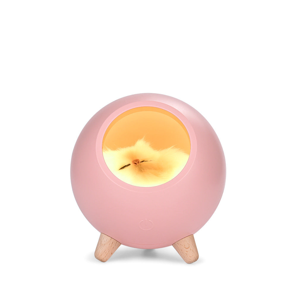 Round Shape Plush Cat Inside Night Light Led Cute Silicone Lamp Bedside Lamp Bedroom Light Decoration